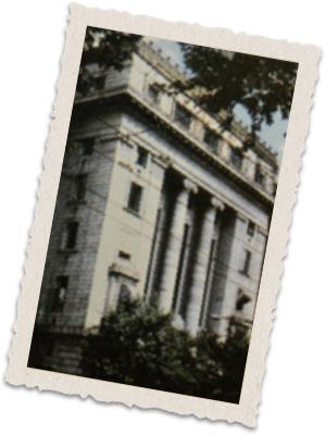 PG国际